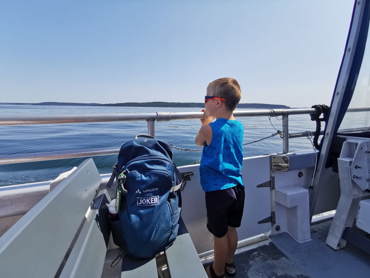 Lobster & Seal boottocht in Bar Harbor