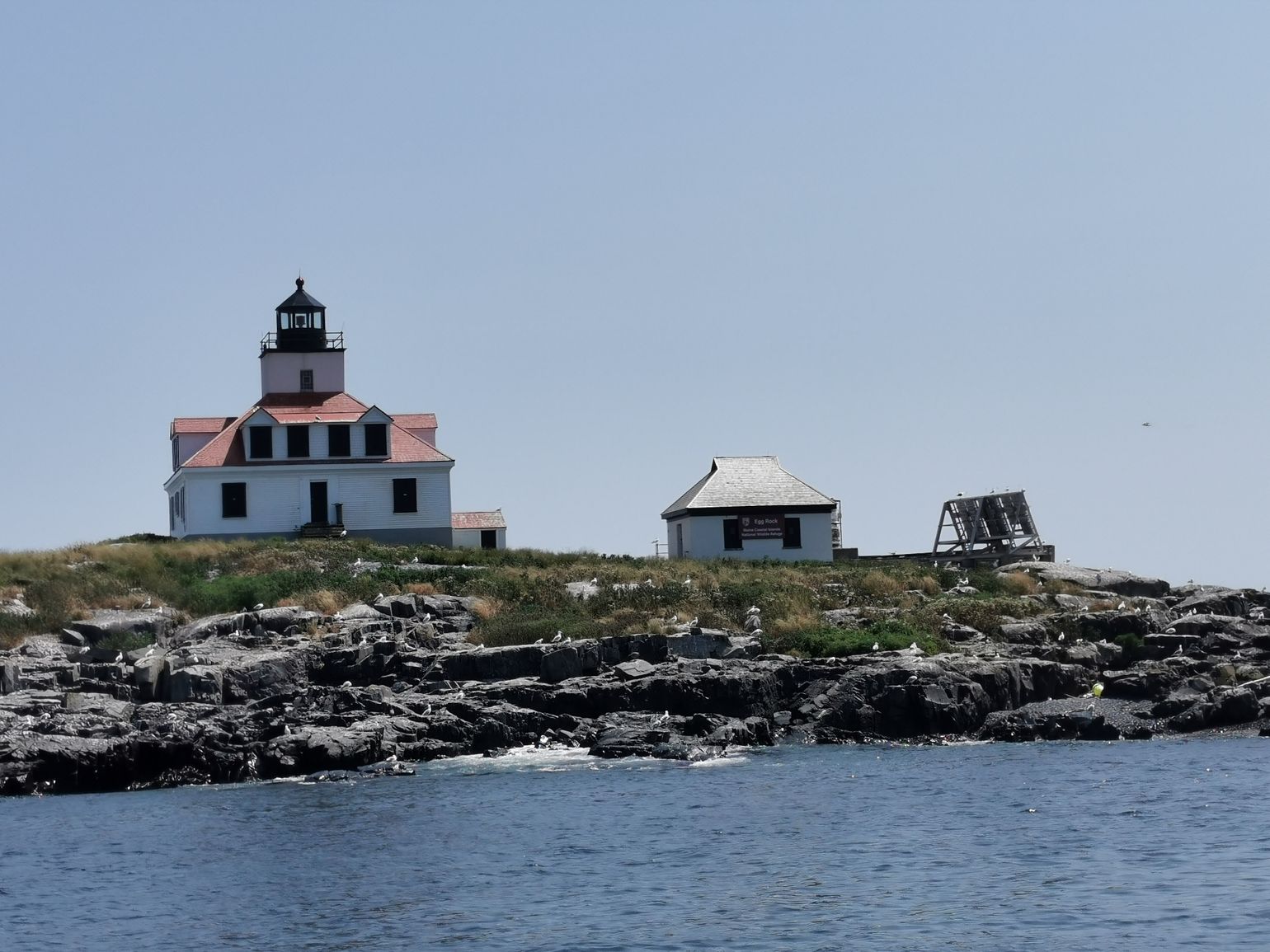Lobster &amp; Seal boottocht in Bar Harbor