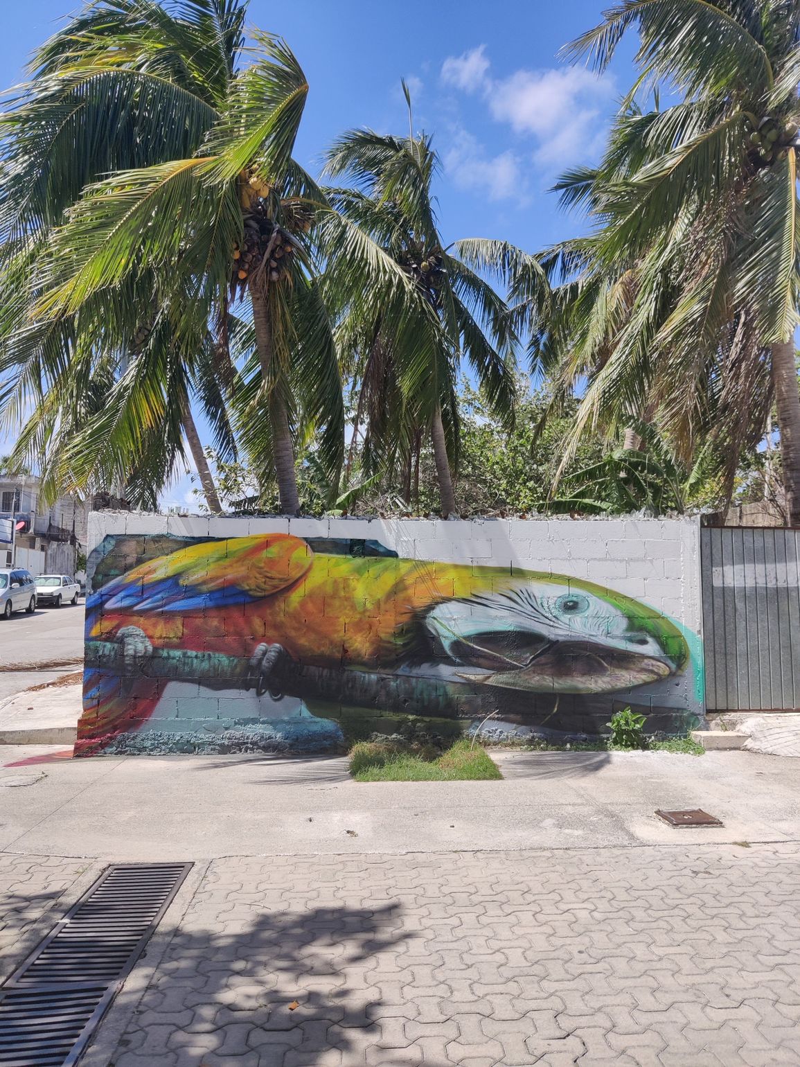 playa del carmen street art