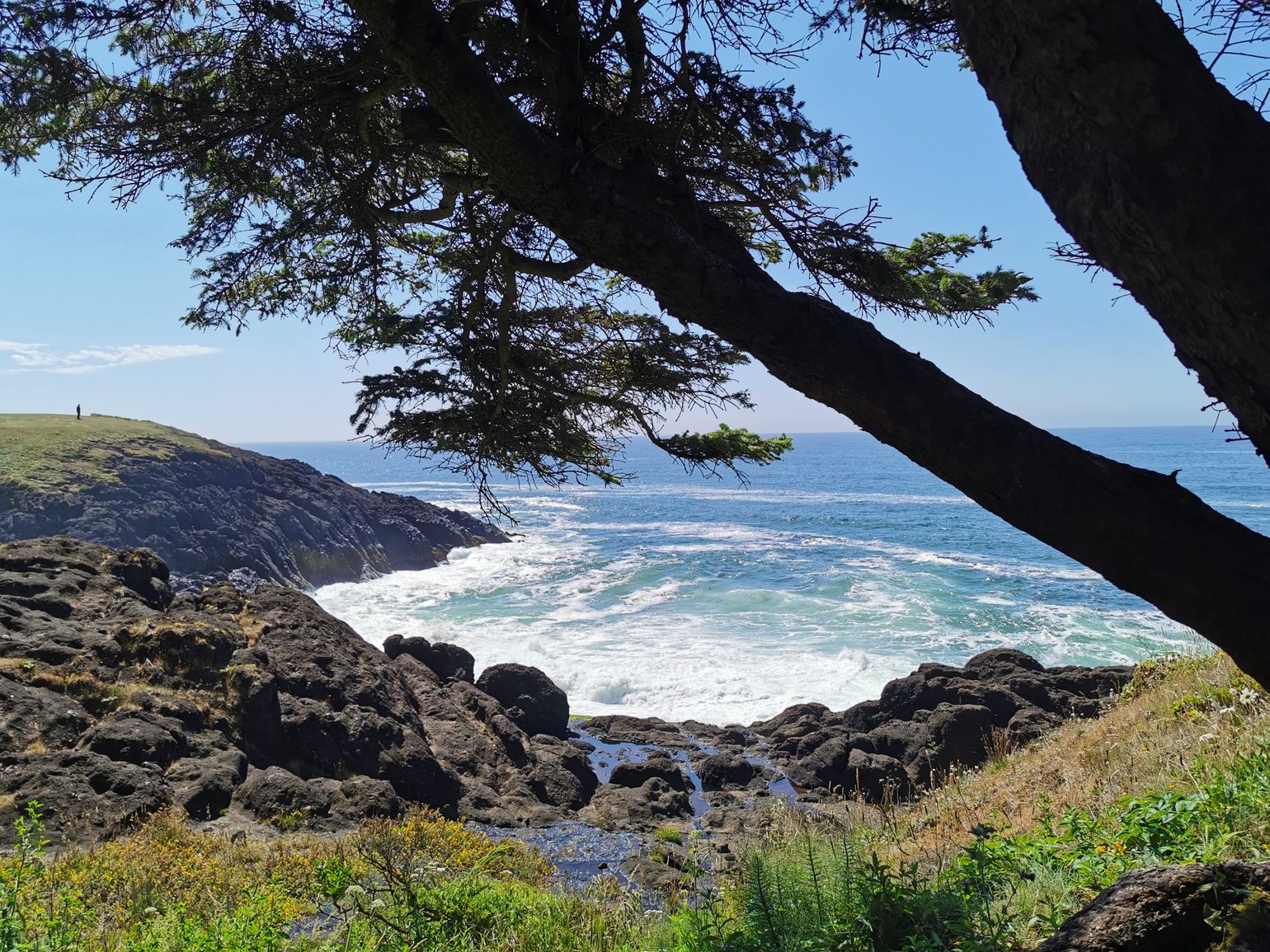 The Oregon Coast - Depoe Bay