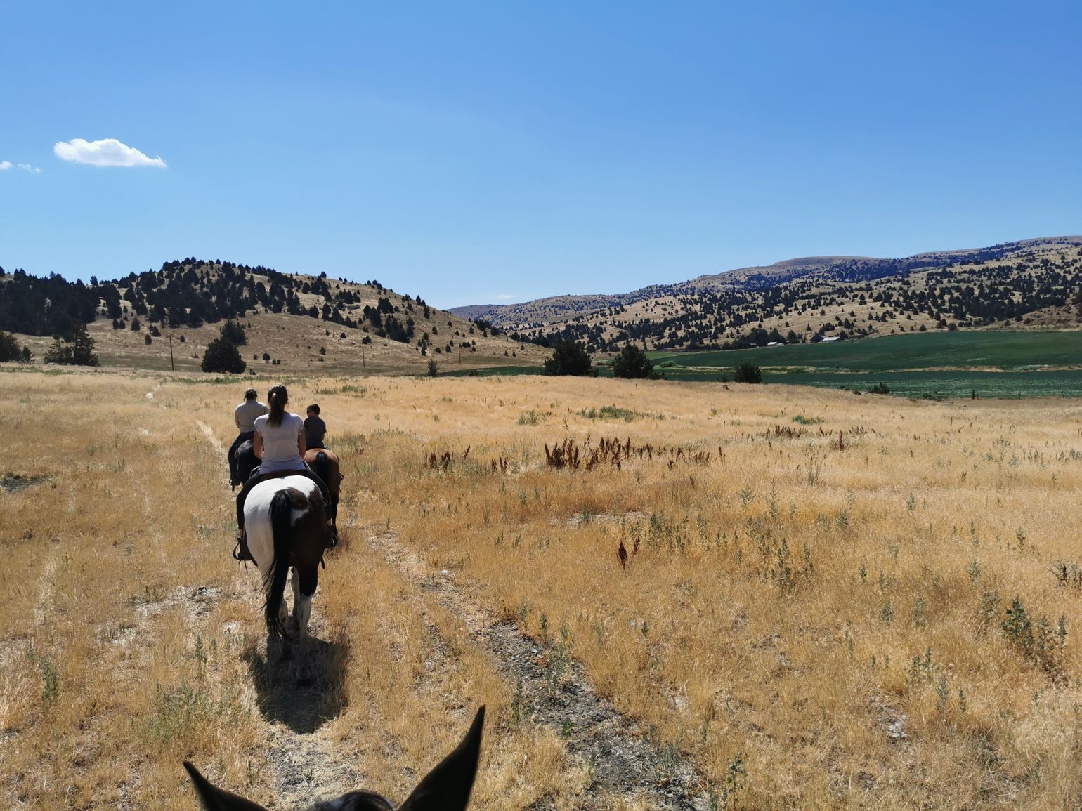  Paardrijden op de Wilson Ranch