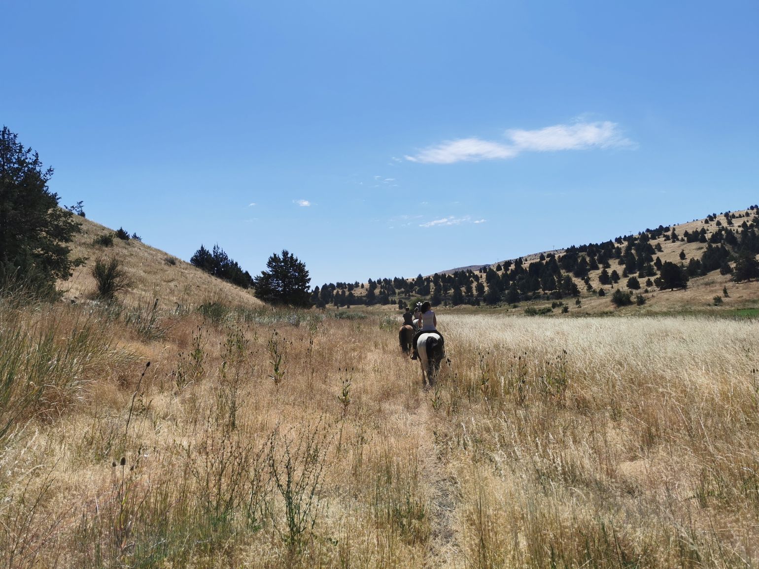  Paardrijden op de Wilson Ranch