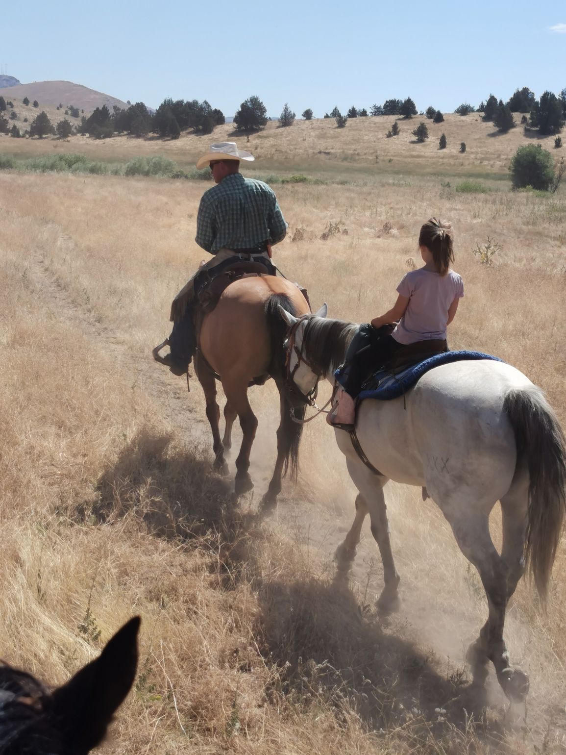  Paardrijden op de Wilson Ranch