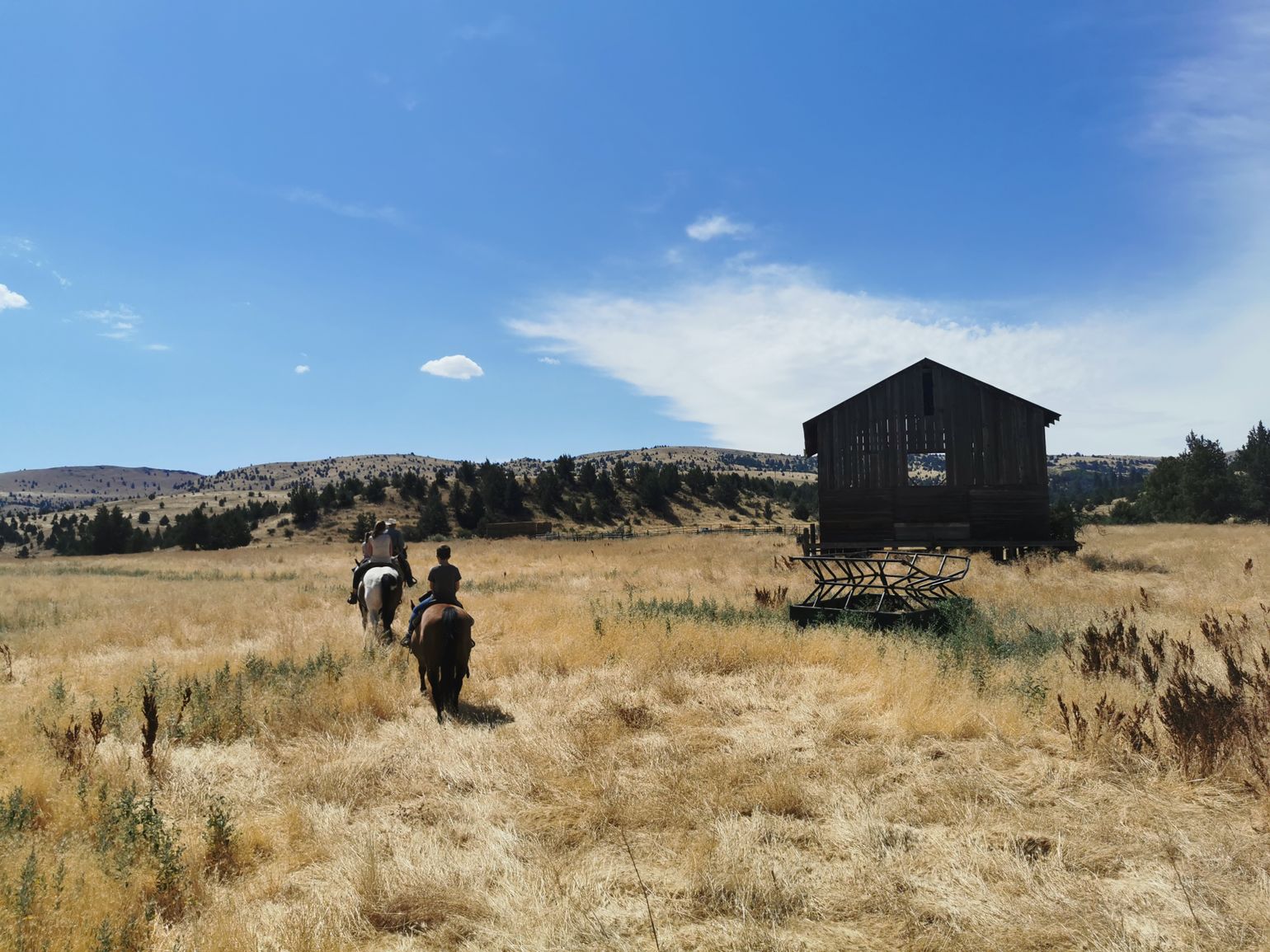  Paardrijden op de Wilson Ranch