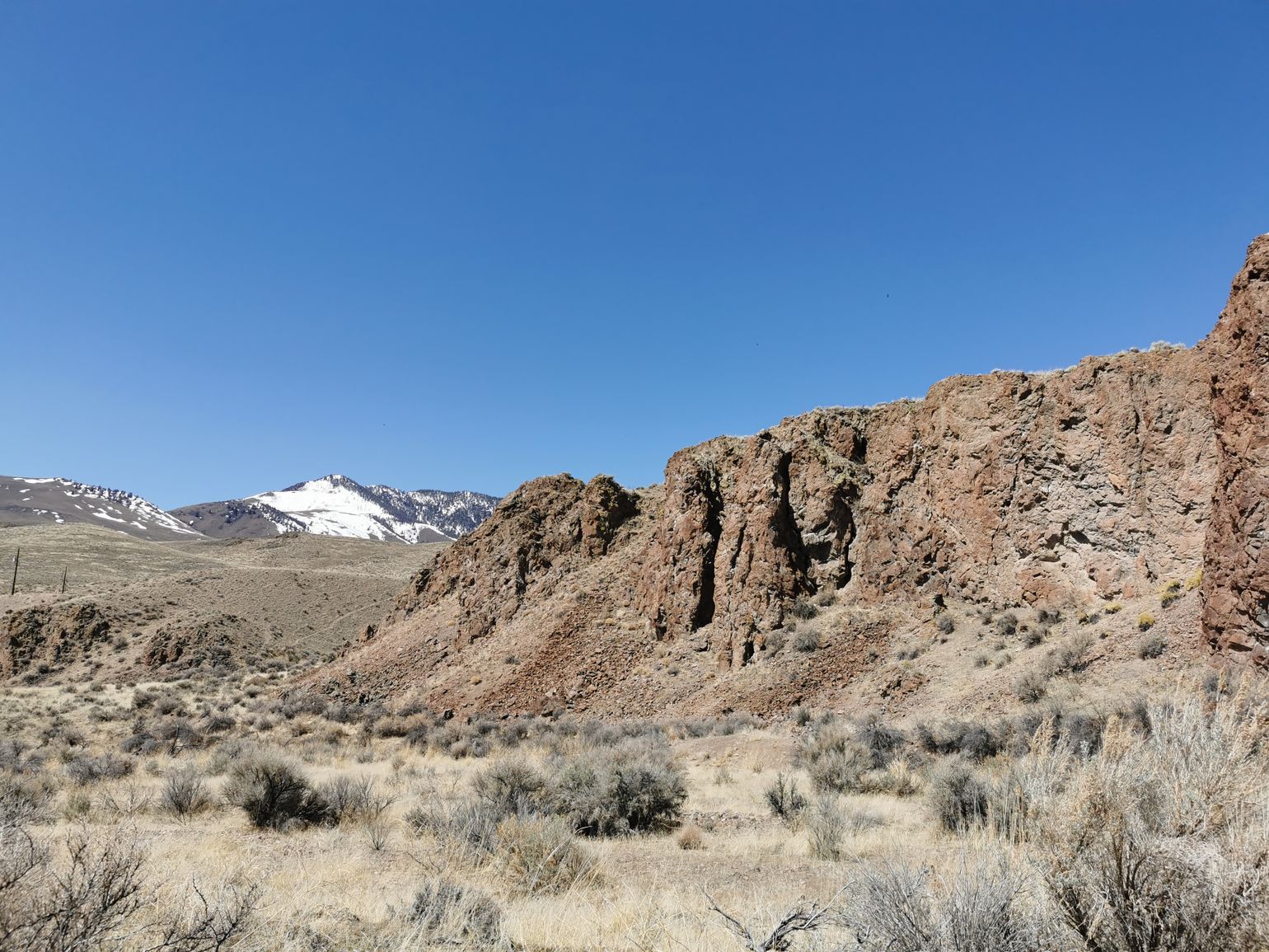 Challis