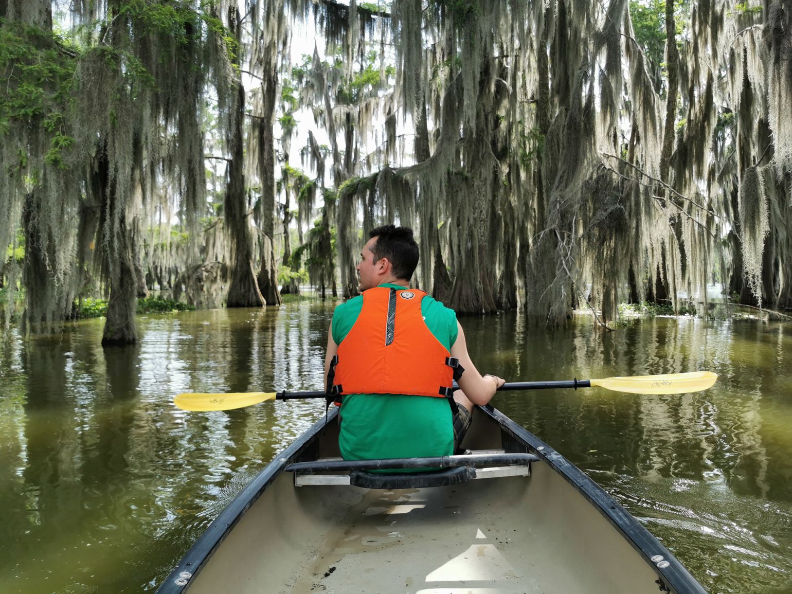 swamp