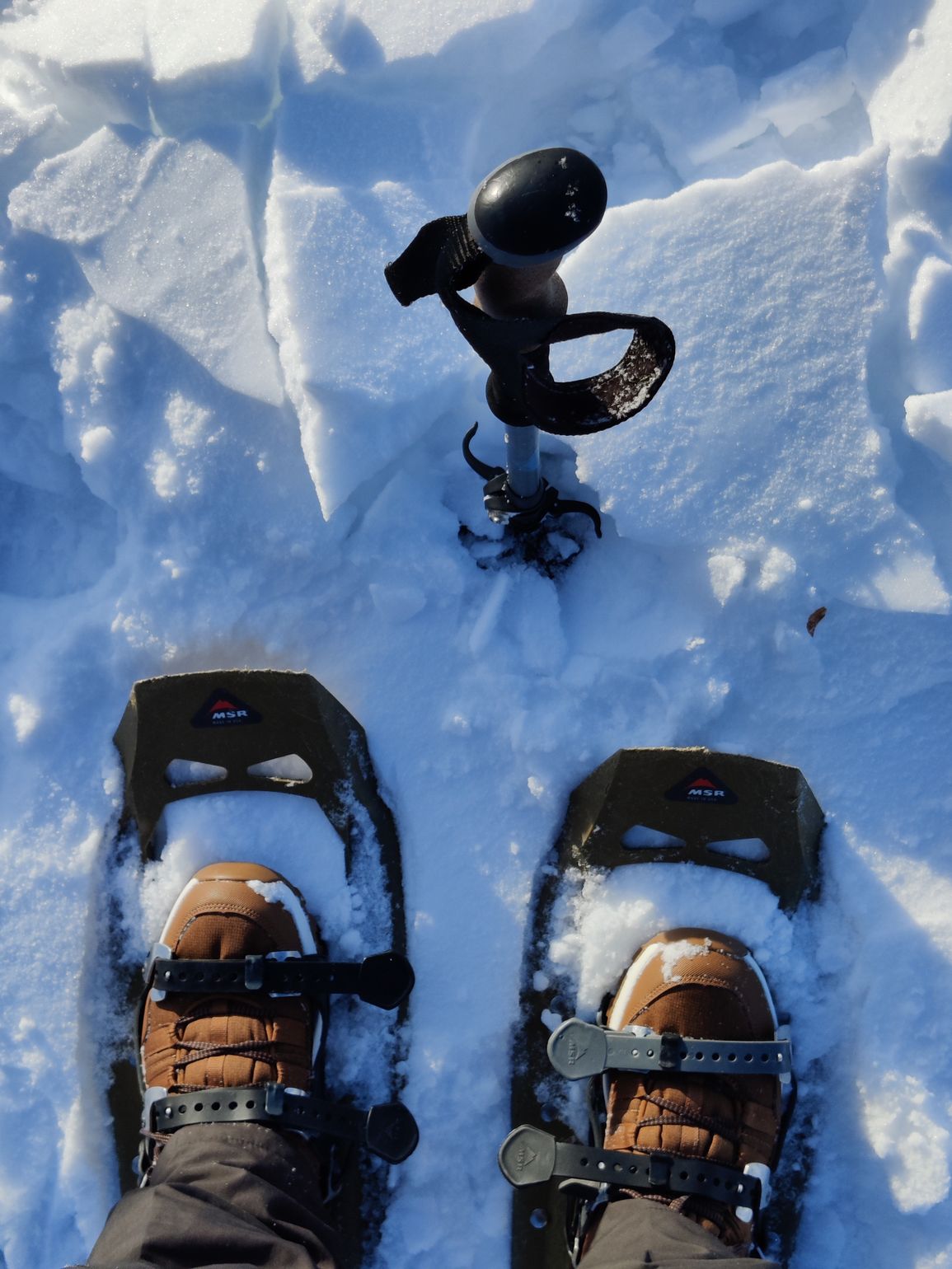 Winter Heli-Snowshoe Tour - Snowshoes