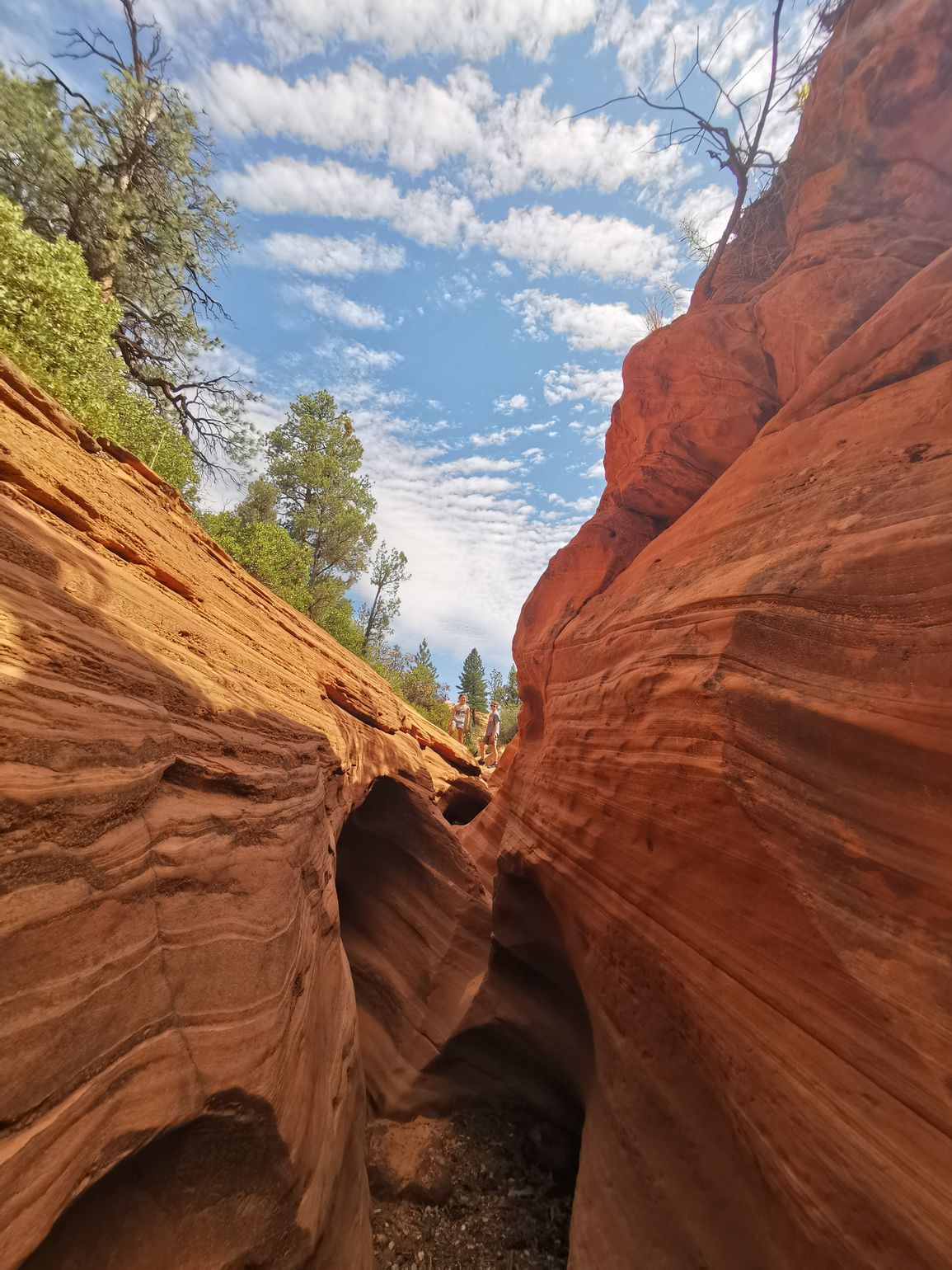 Coral Pink Sand Dunes