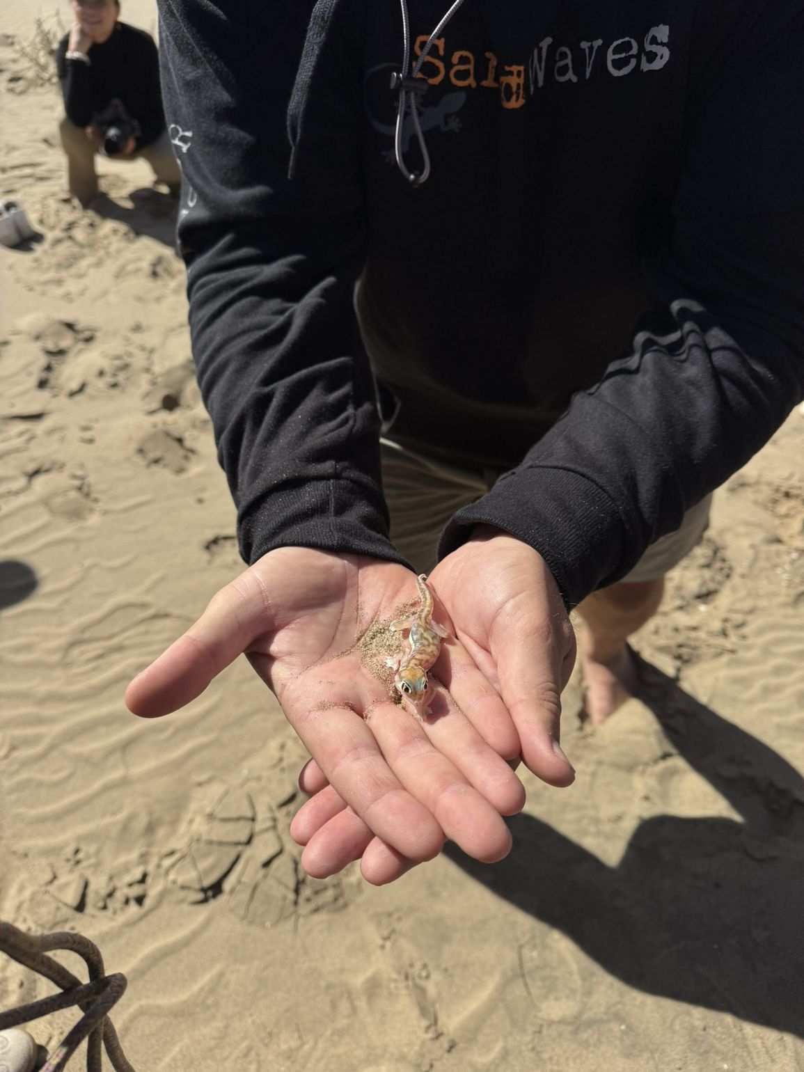 zeedieren