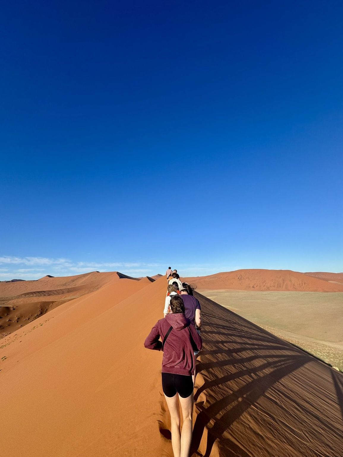 groep in de sossusvlei 