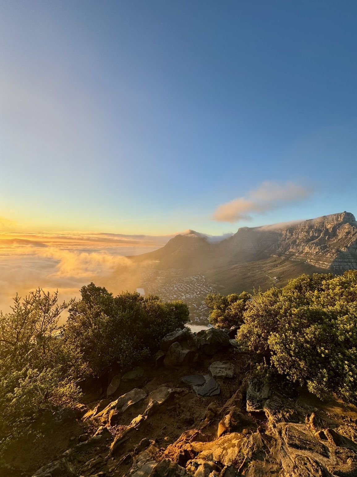 cape town 