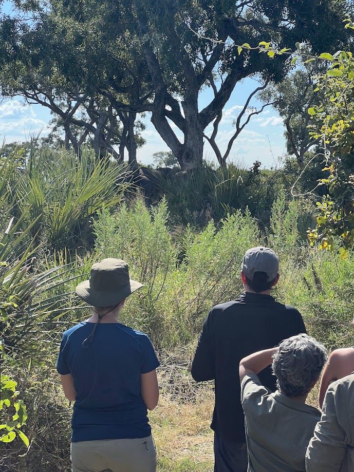 wandelsafari te voet