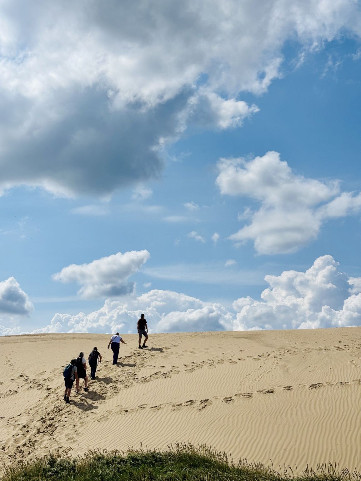 Strandwandeling Jutland