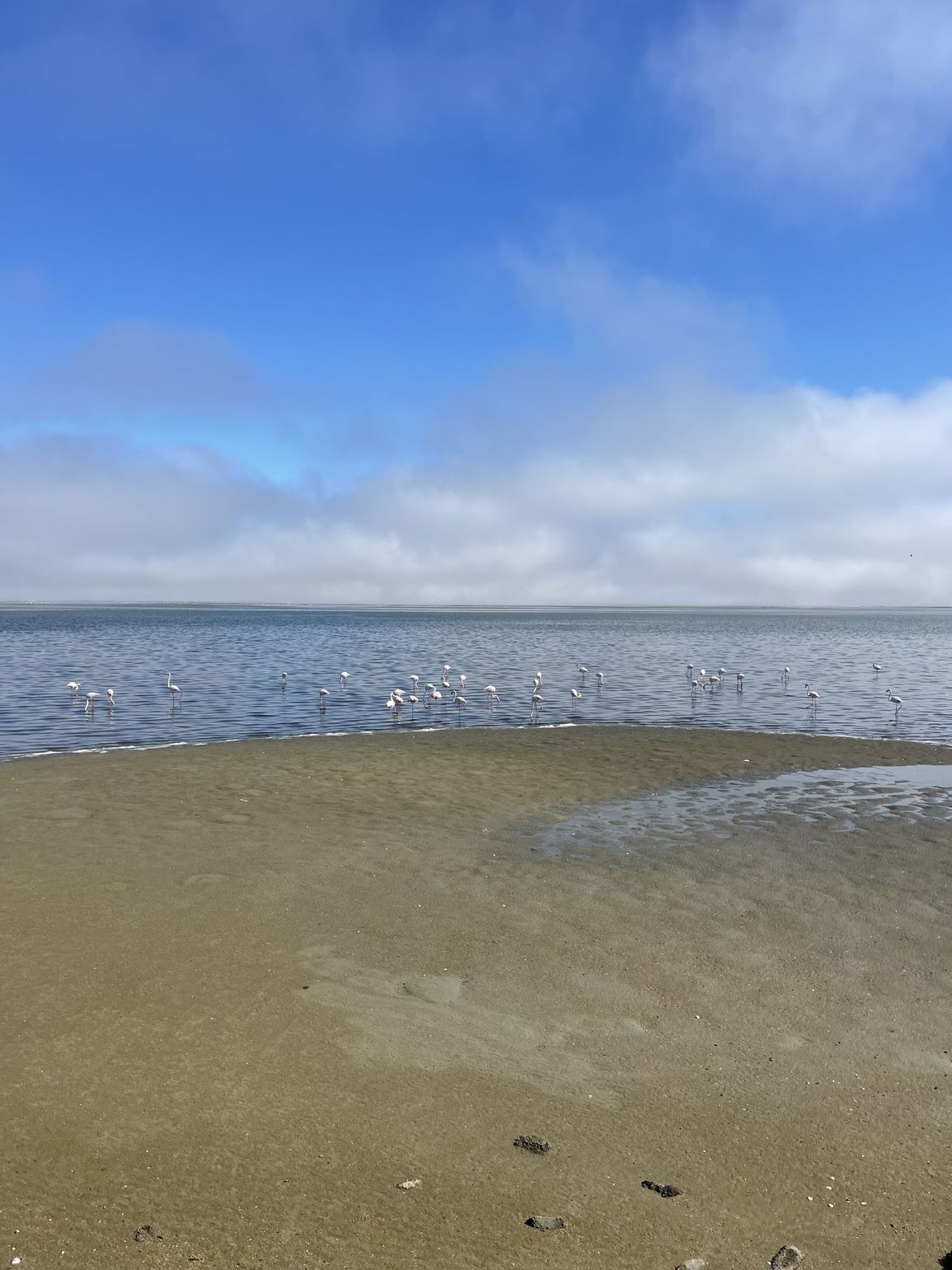 zee en vogels namibie