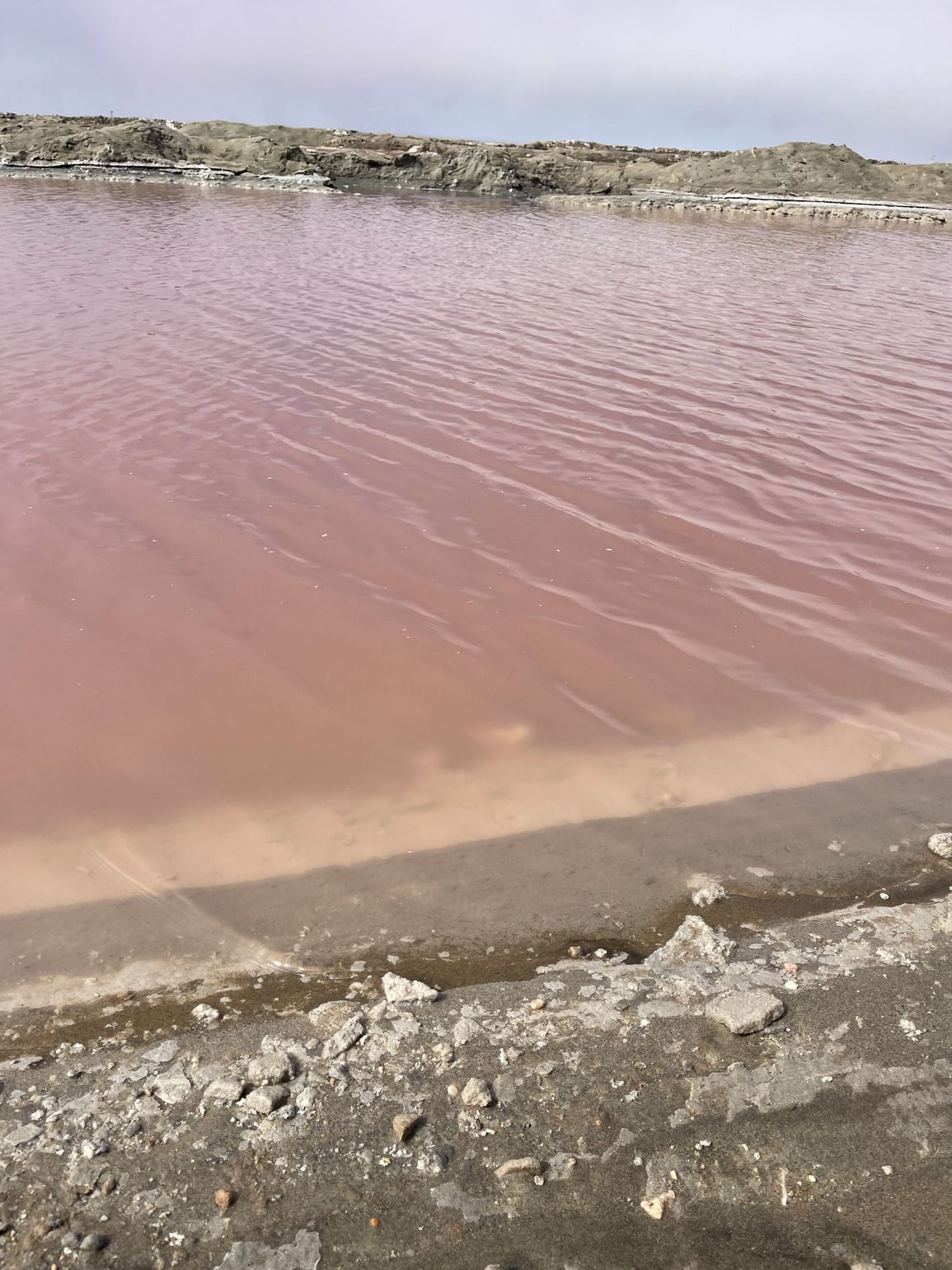 zoutpan roze namibie