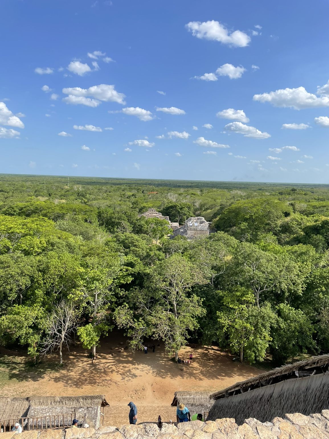 uitzicht mexico jungle 