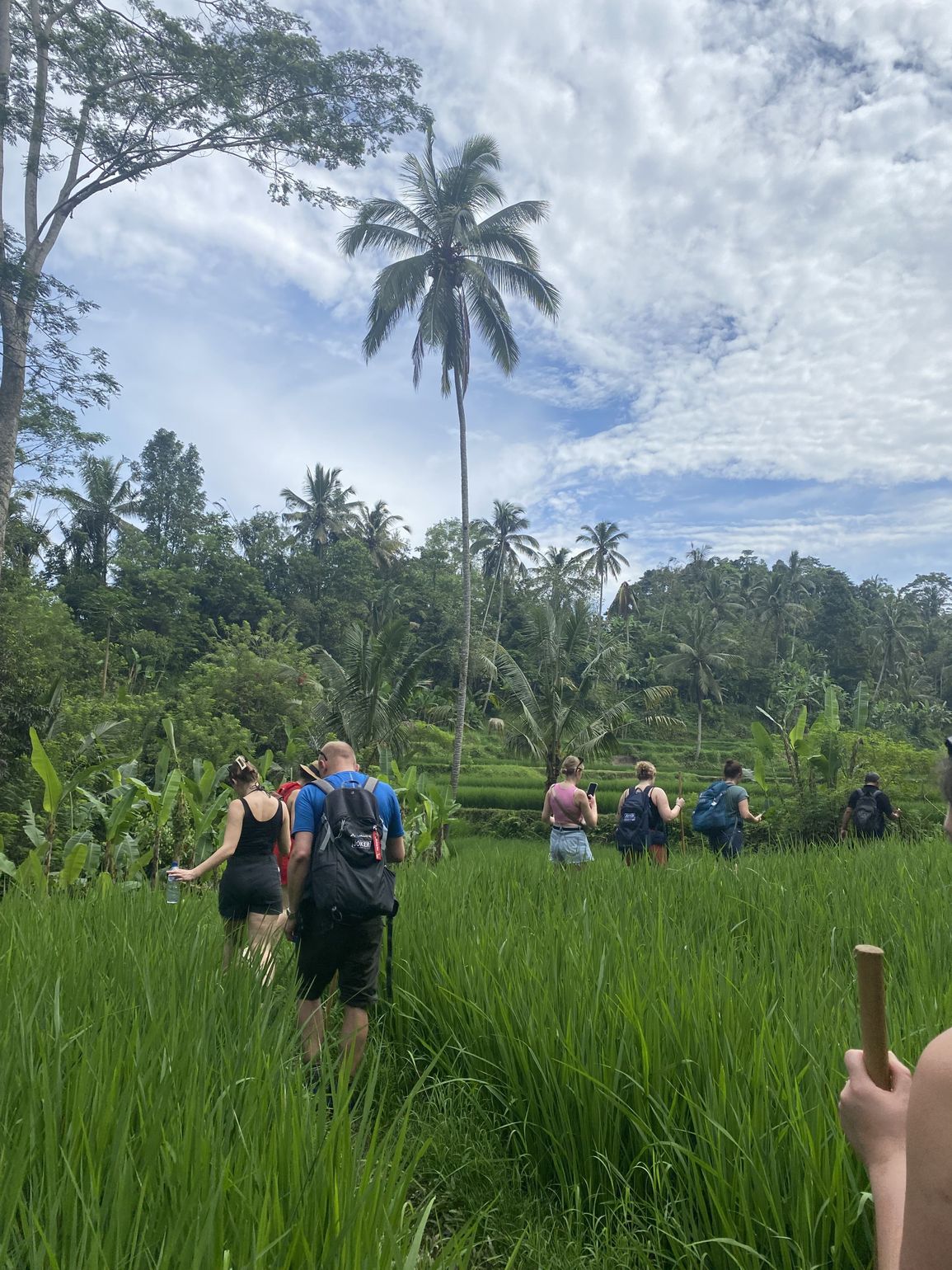 Jungle Munduk Bali Indonesië