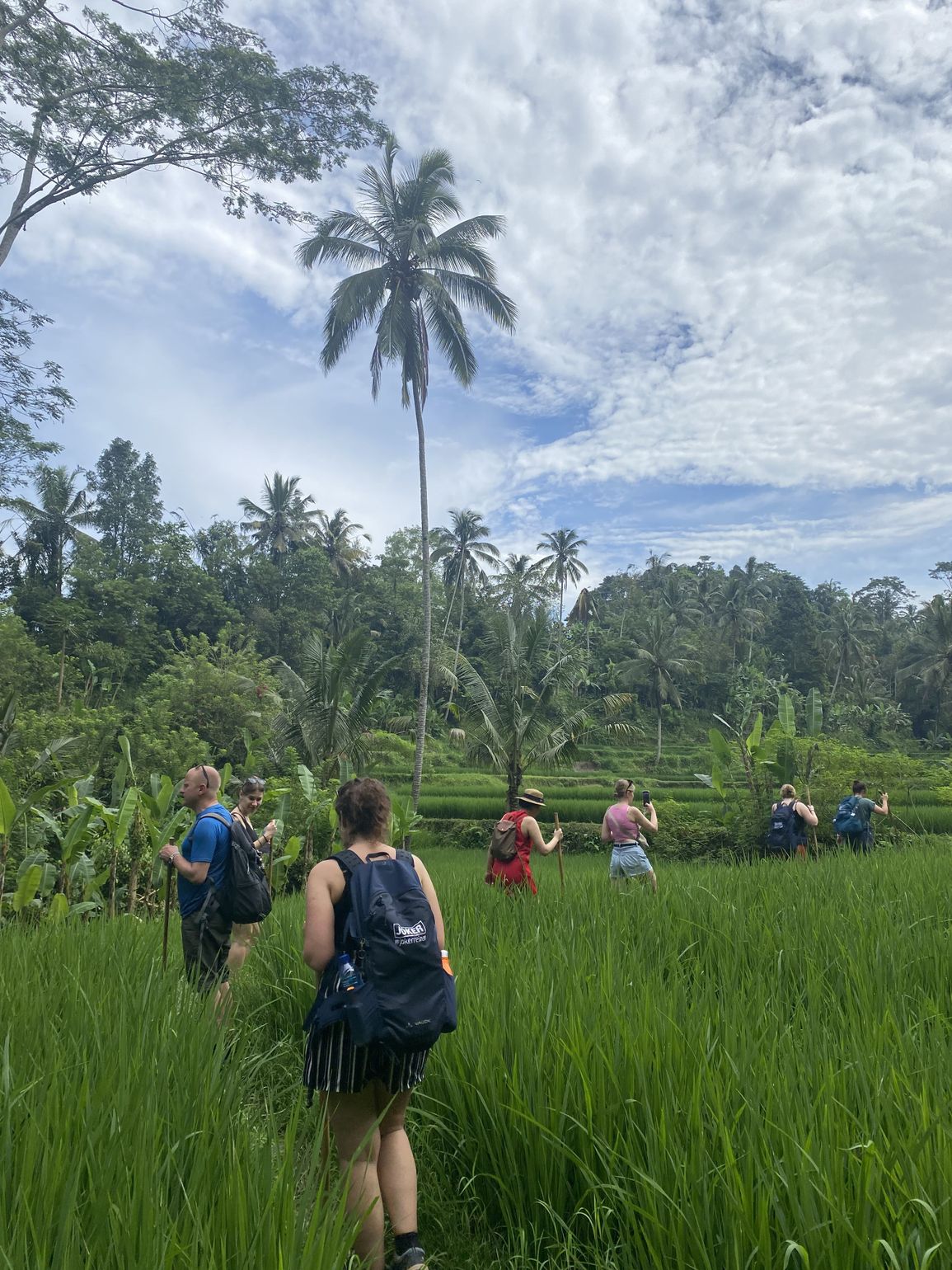 Tropical trekking Bali - Joker