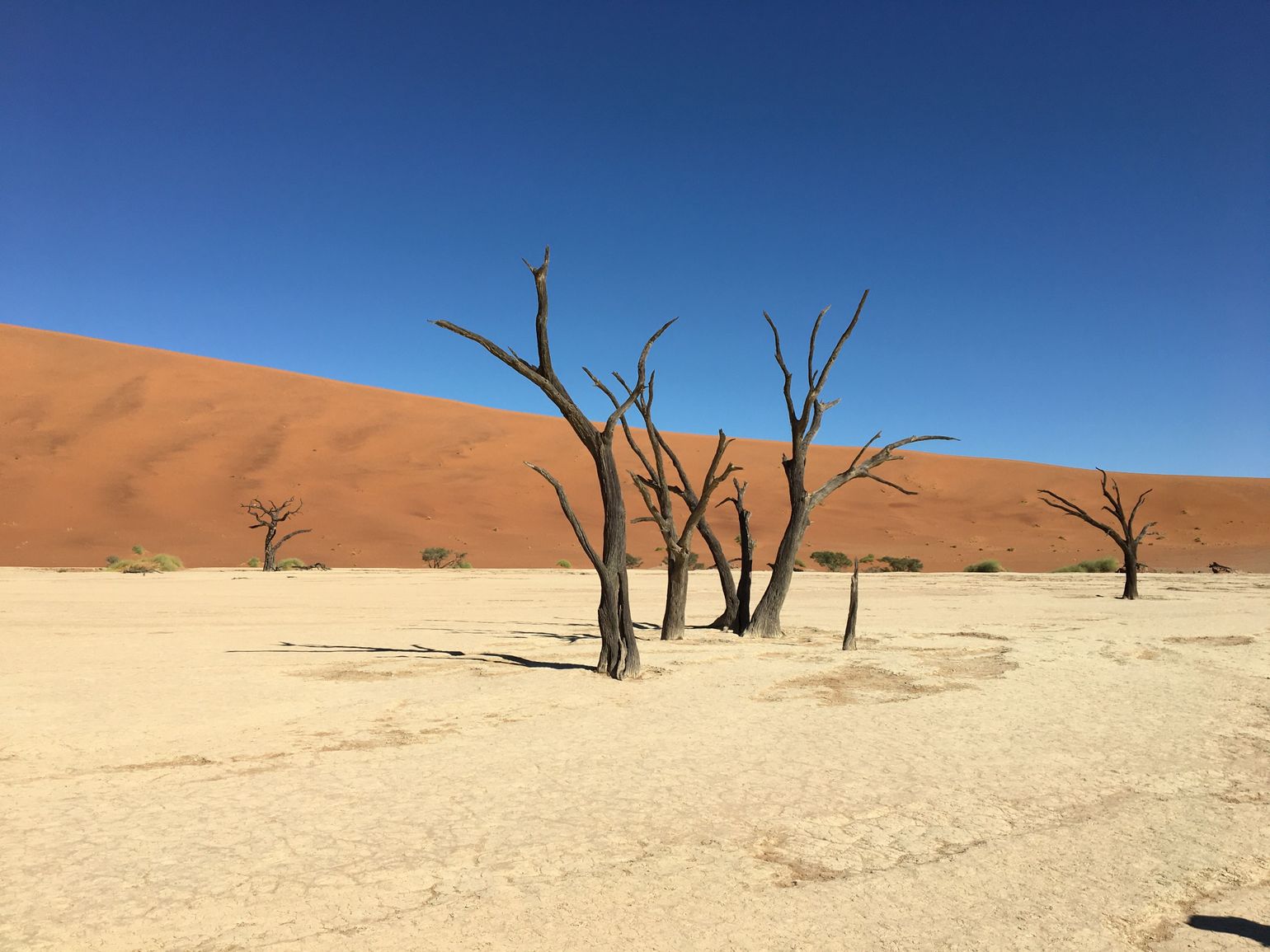 deadvlei namibie