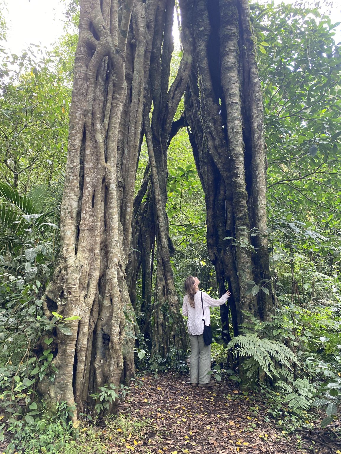 Flora op Bali Indonesië
