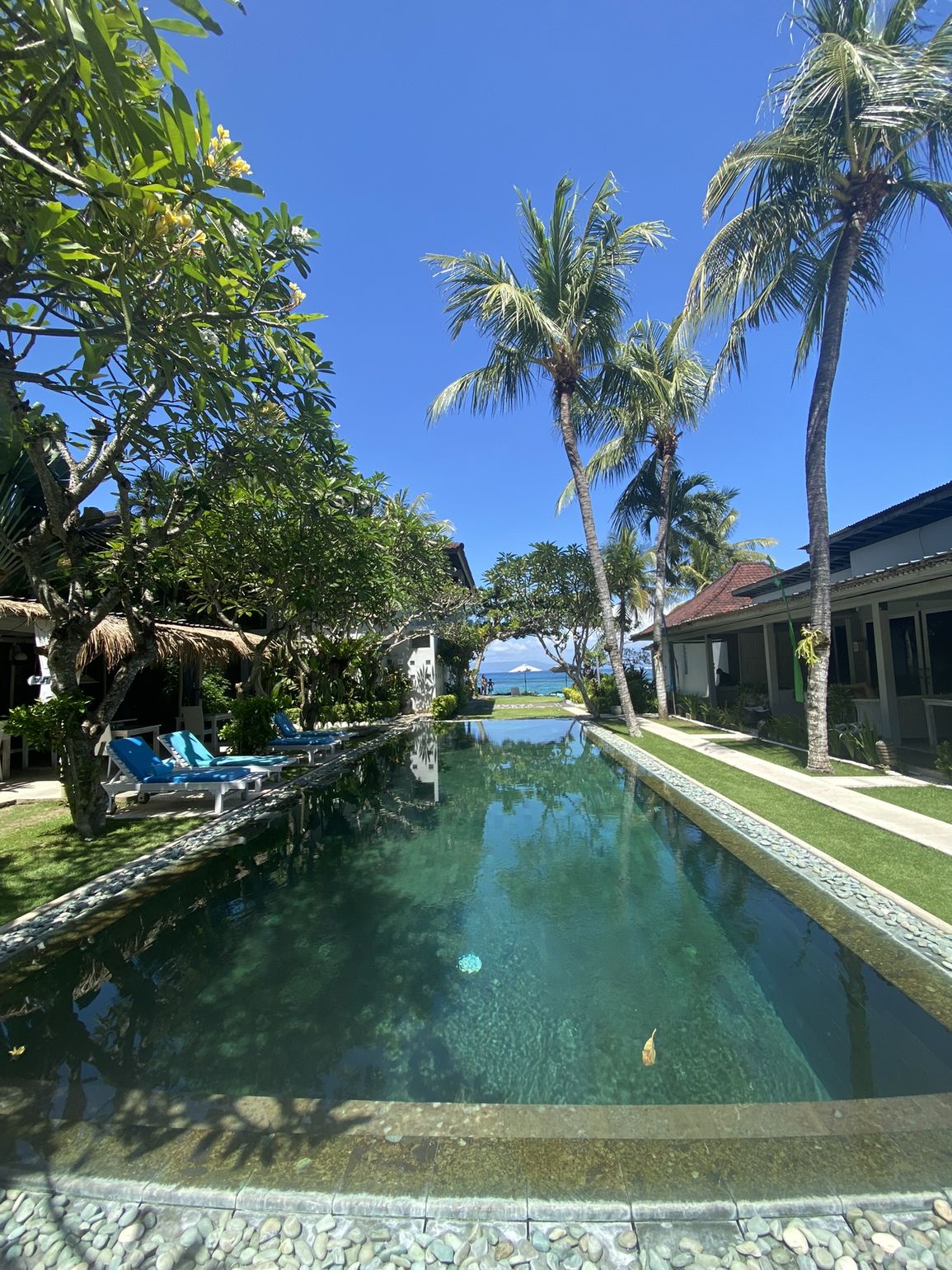 ontspanning in Ubud Bali Indonesië - Joker