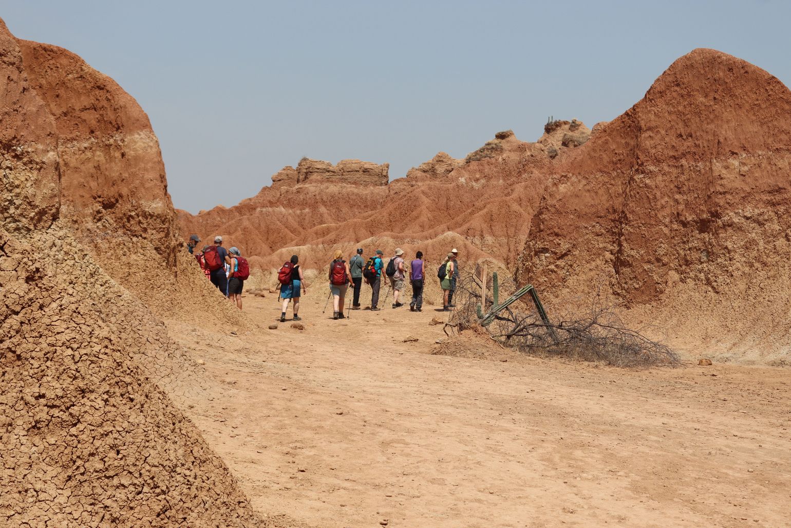 Joker Comfort Editions