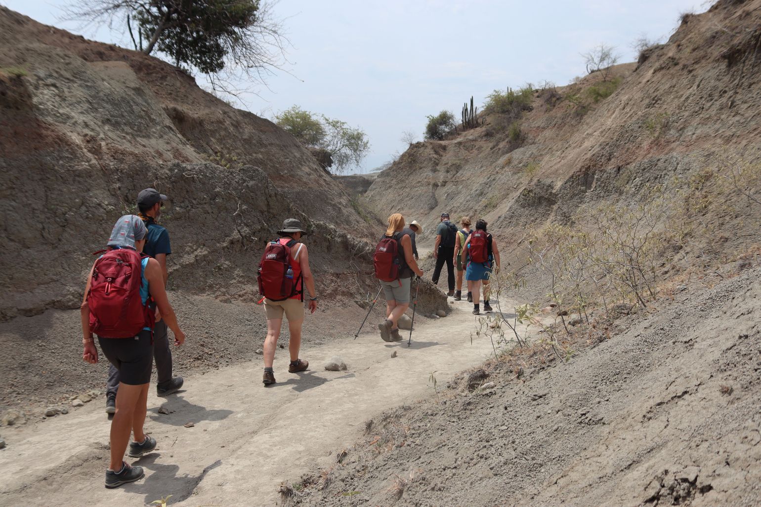 Joker Comfort Editions