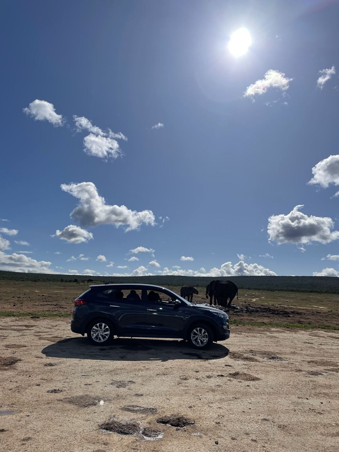 Met eigen auto op safari