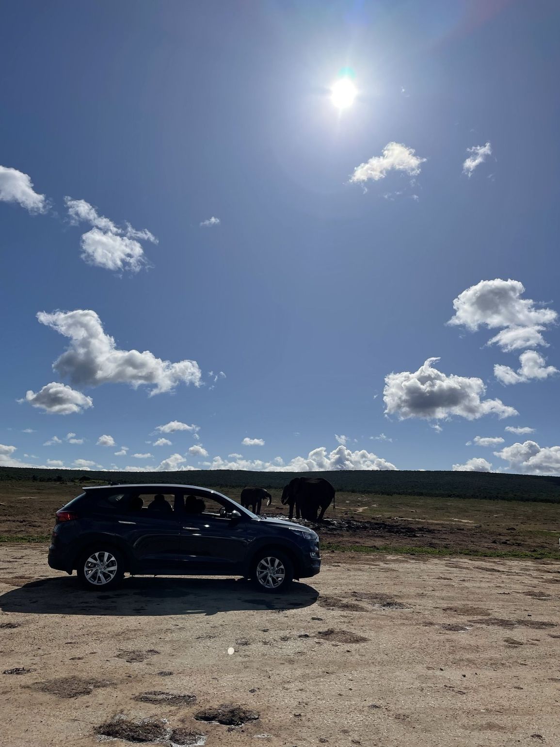 Safari met eigen auto 