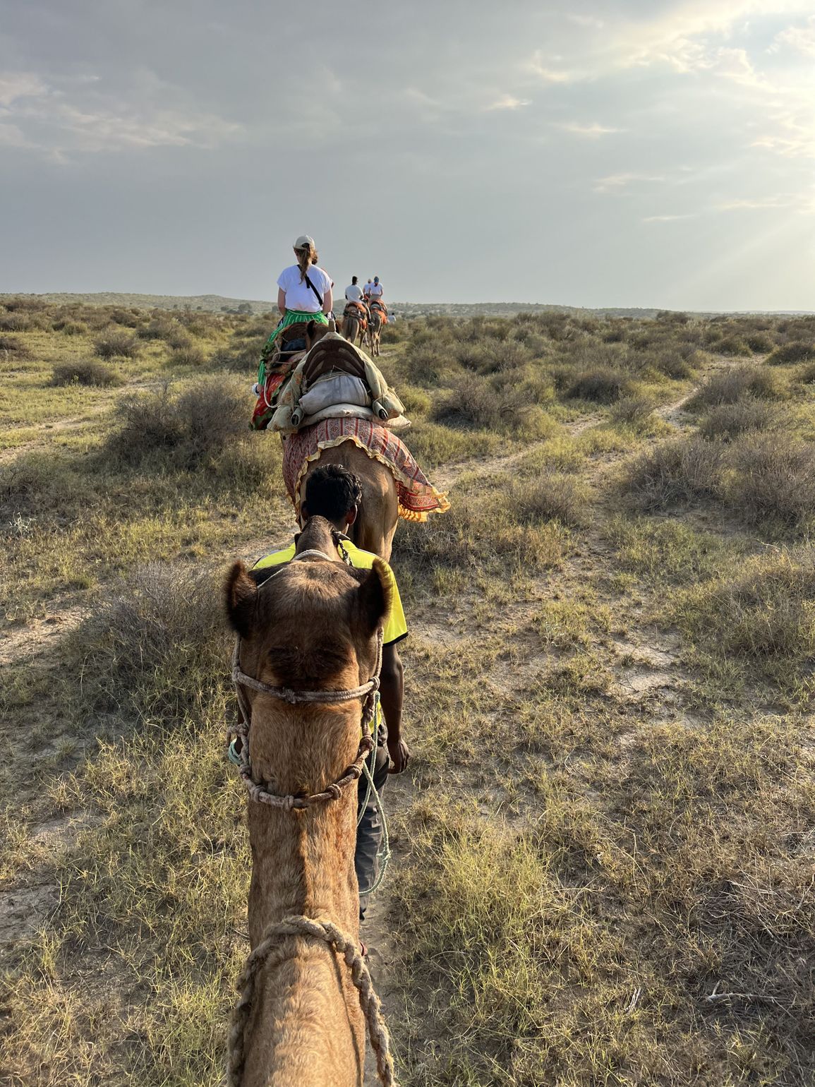 2-daagse woestijnsafari op een dromedaris in India