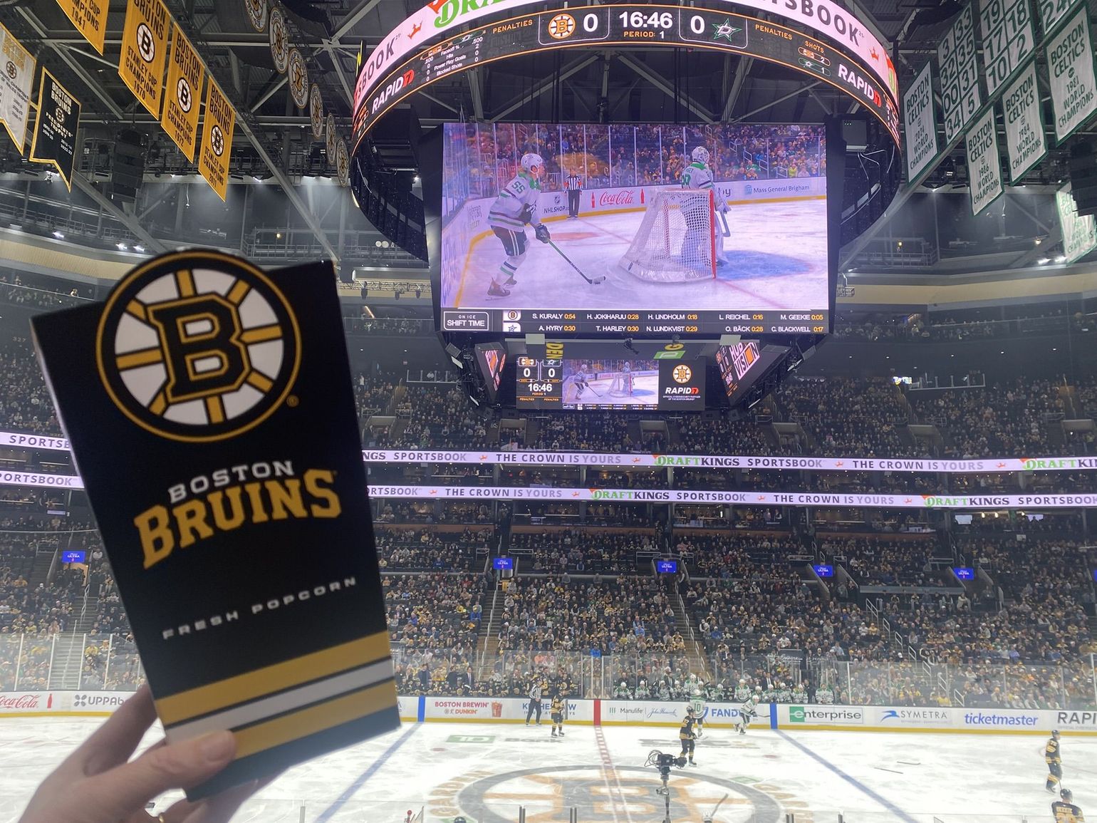 boston bruins