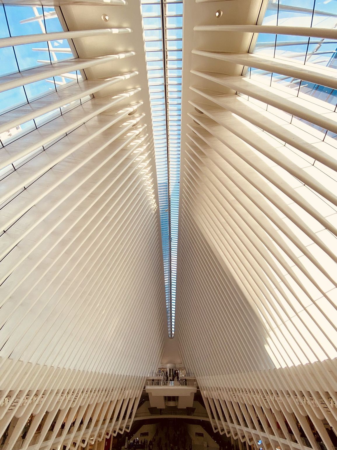 Inside The Oculus