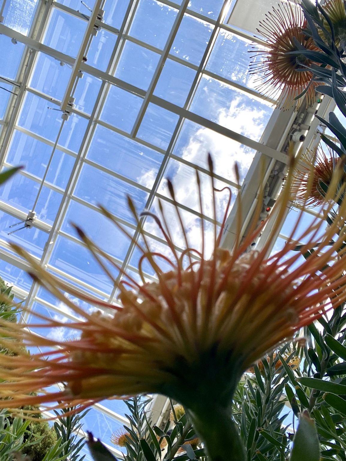 longwood gardens