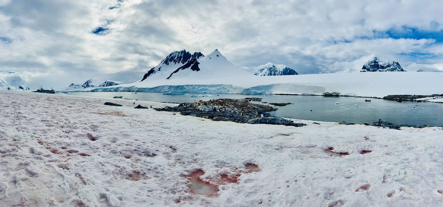 Expeditie aan land op Antarctica