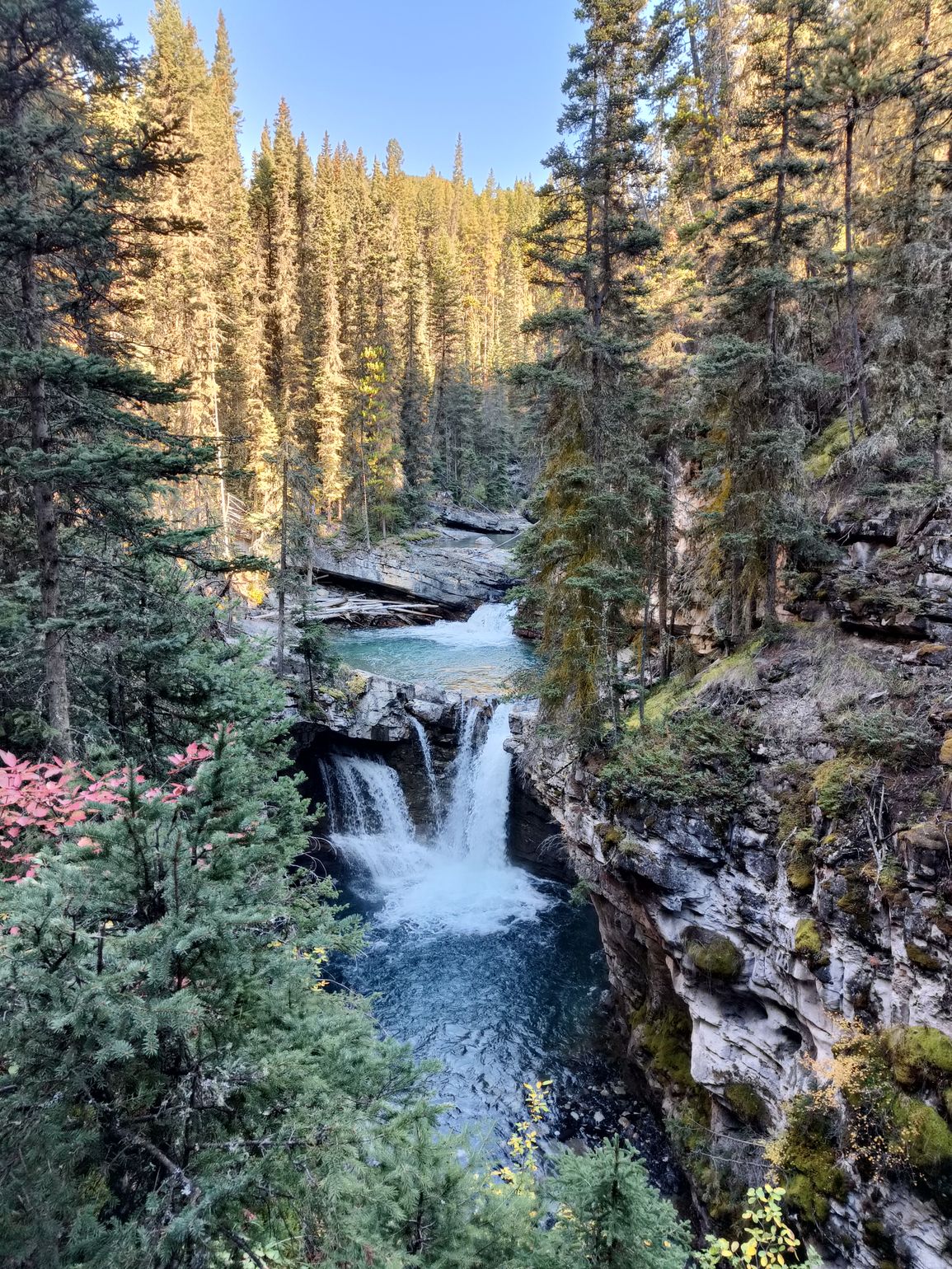 johnstone canyon wandeling 