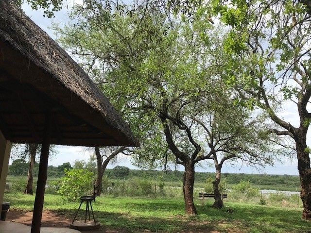 Uitzicht uit restcamp in Kruger