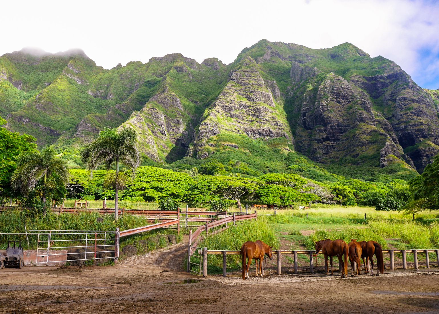 ranch hawaii