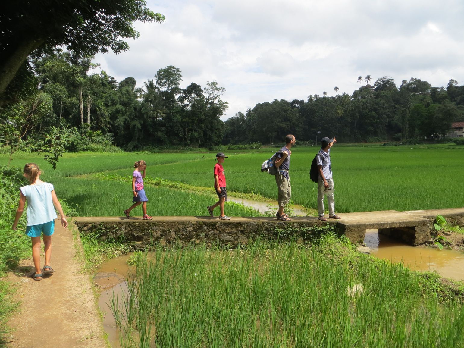 Wandelen tussen rijstvelden met kinderen in Kandy