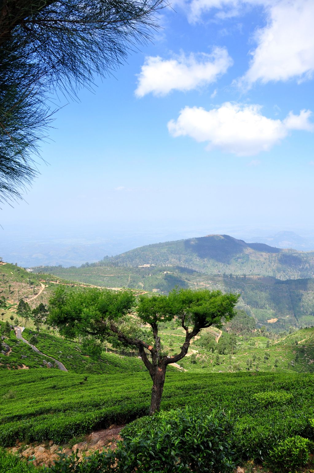 Pekoe Trail Sri Lanka