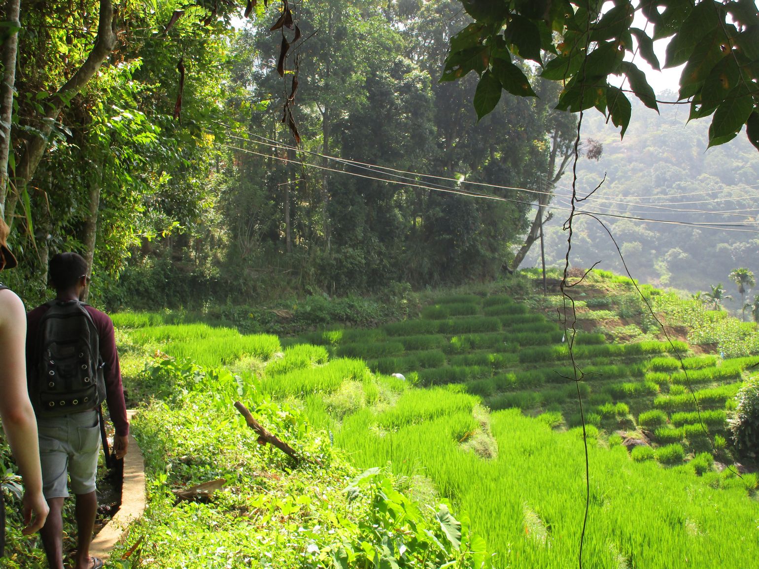 Pekoe Trail Sri Lanka