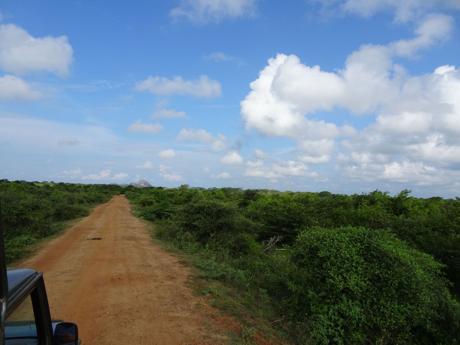 Yala National Park
