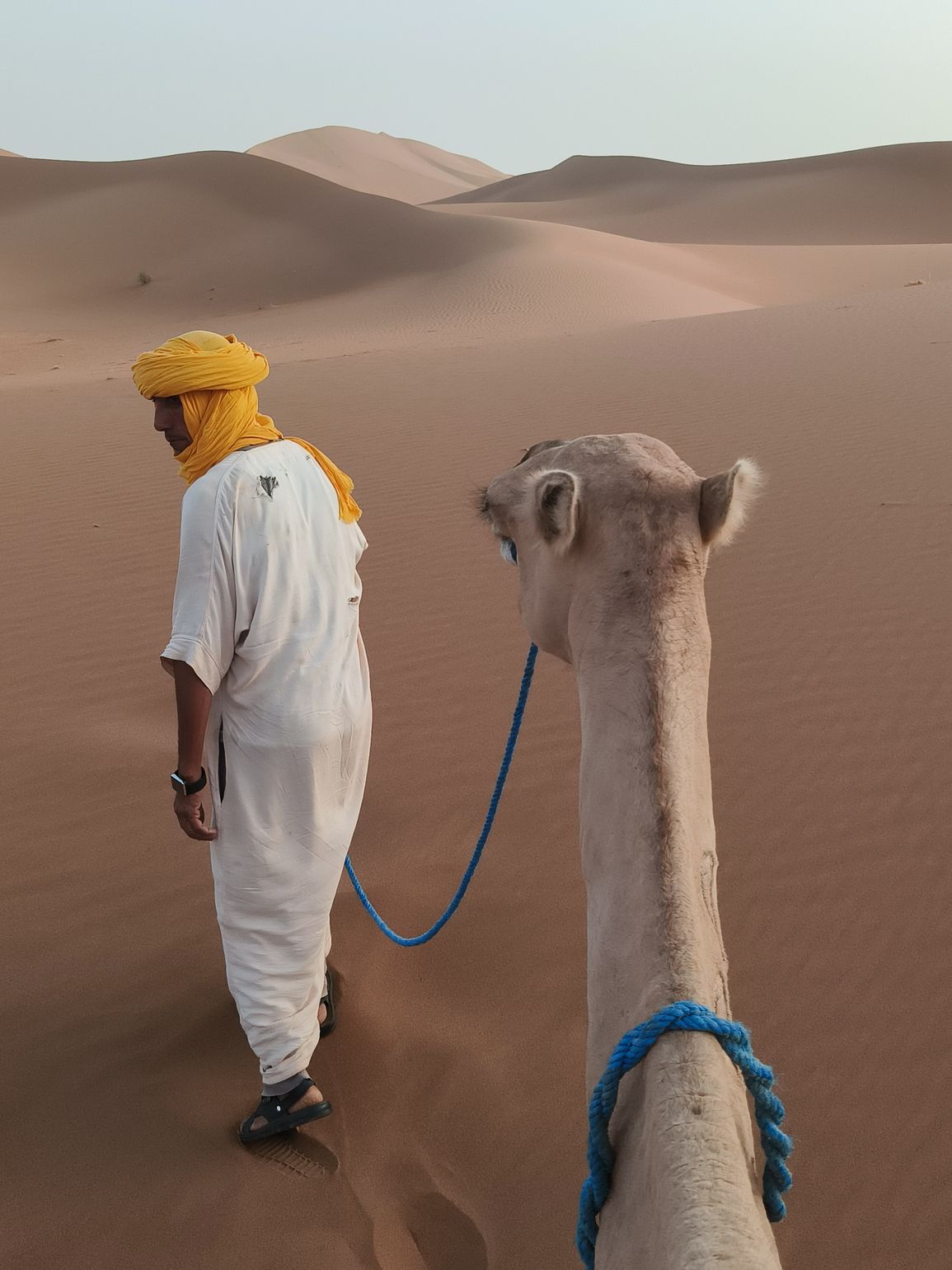 rit op een dromedaris in de woestijn