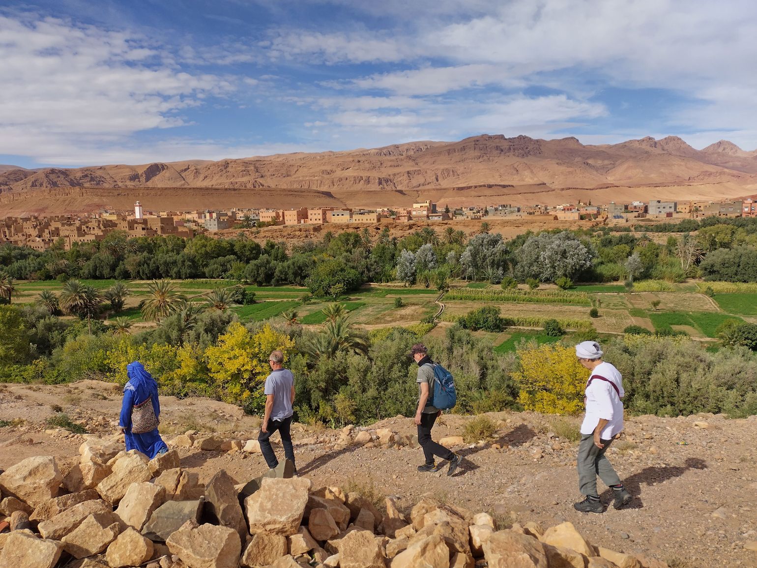 Joker Comfort Editions