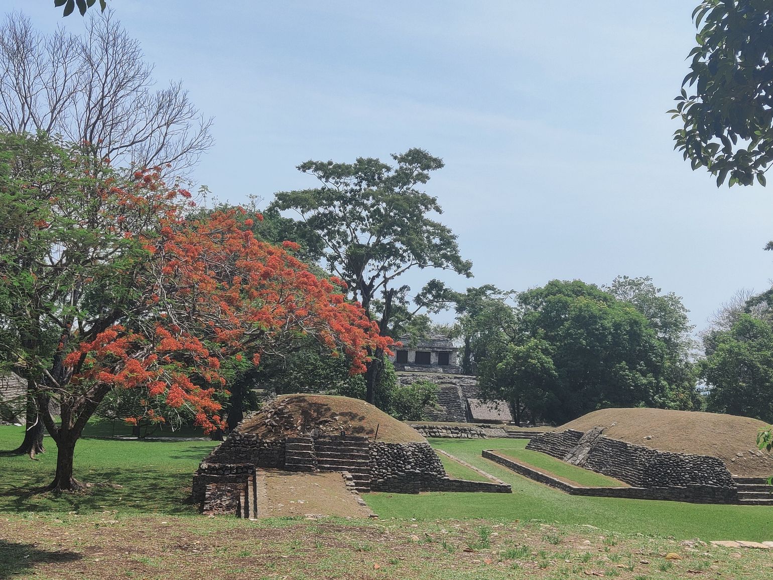 palenque