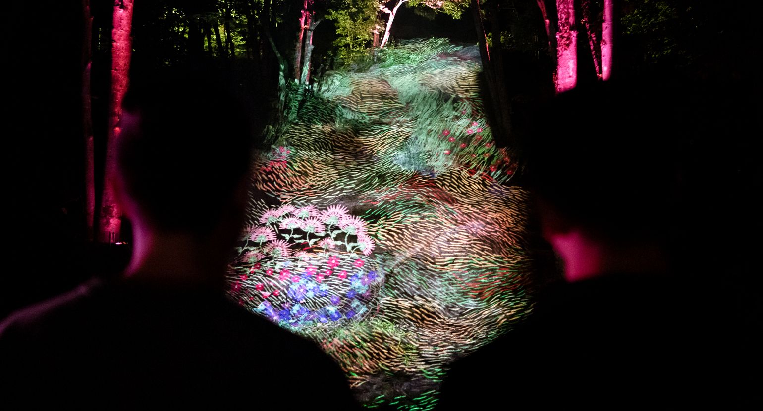 Onhwa' Lumina The Turtle