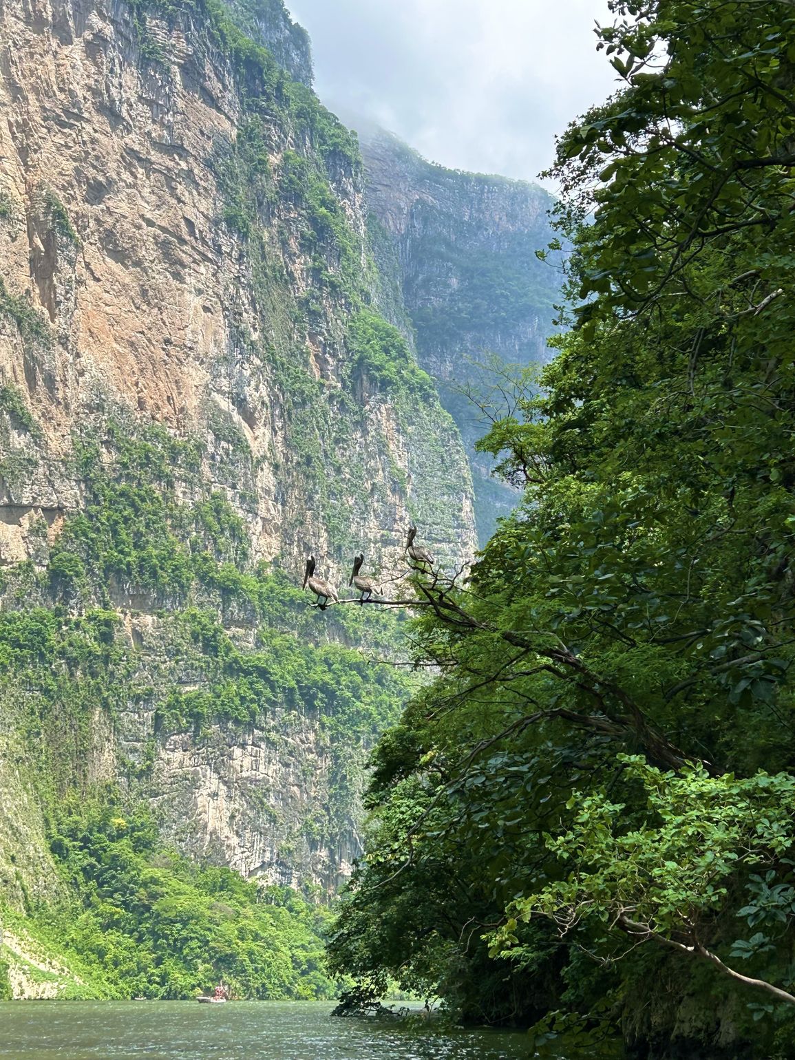 Canyon del sumidero