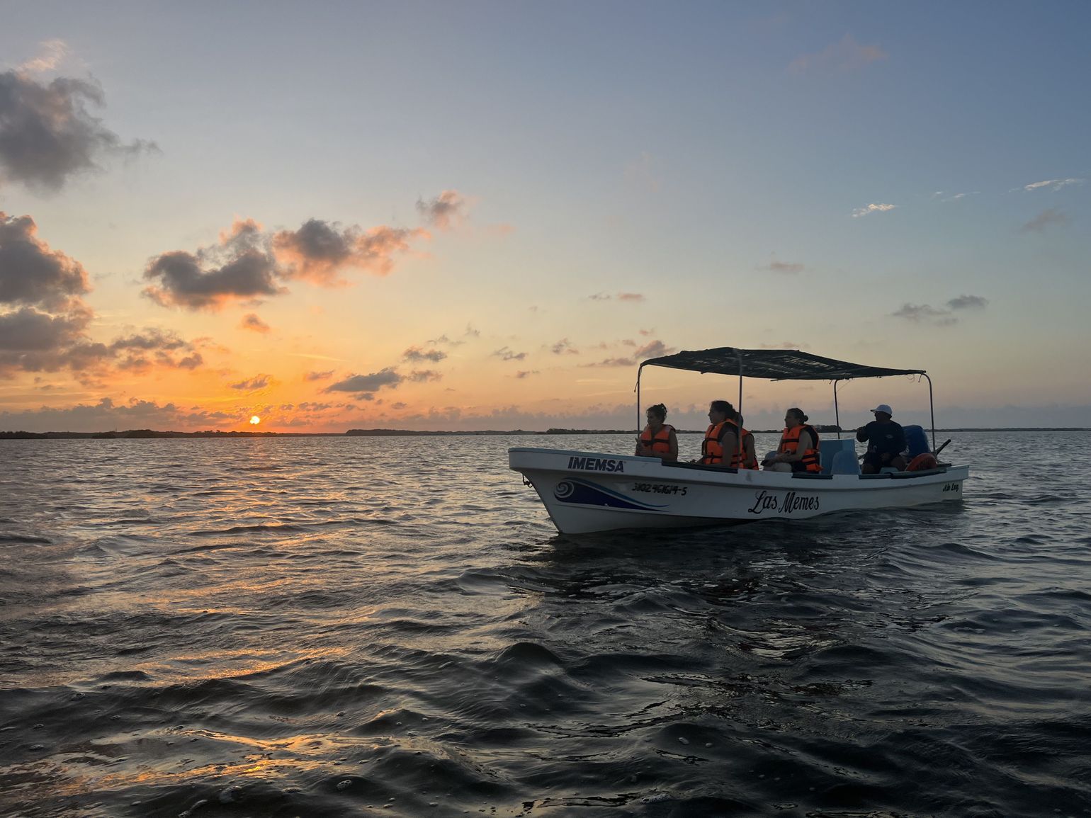 rio lagartos flamingos