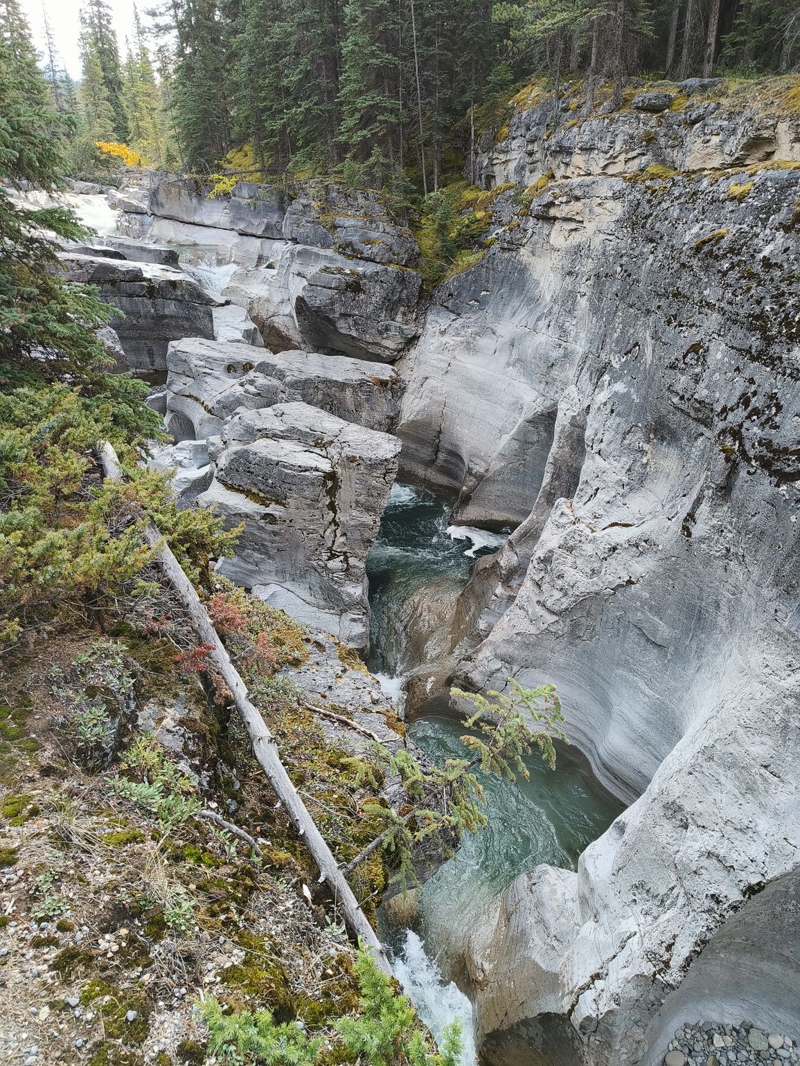 maligne canyon