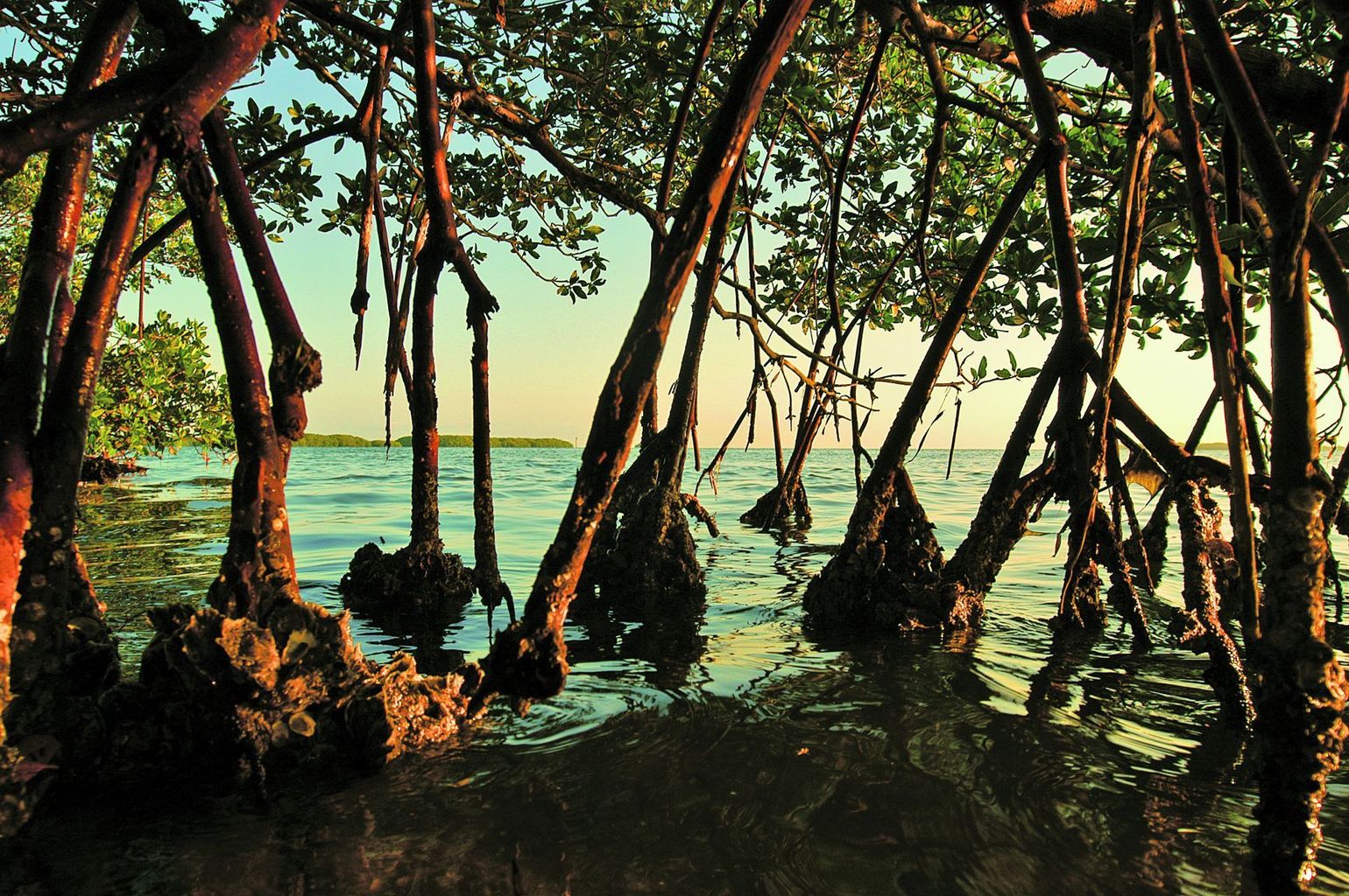 Fort Myers - Sanibel