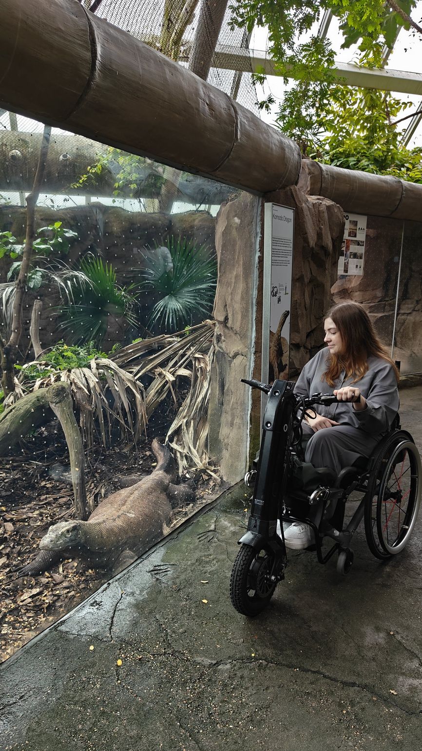 moody gardens